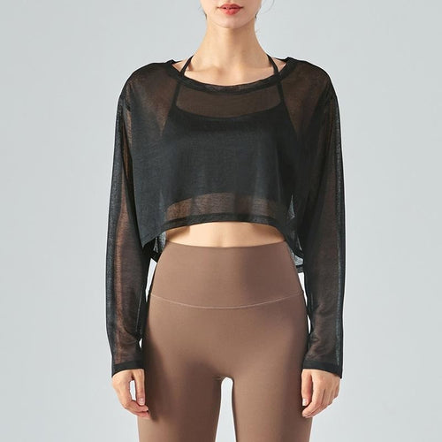 Long Sleeve Sheer Crop Top